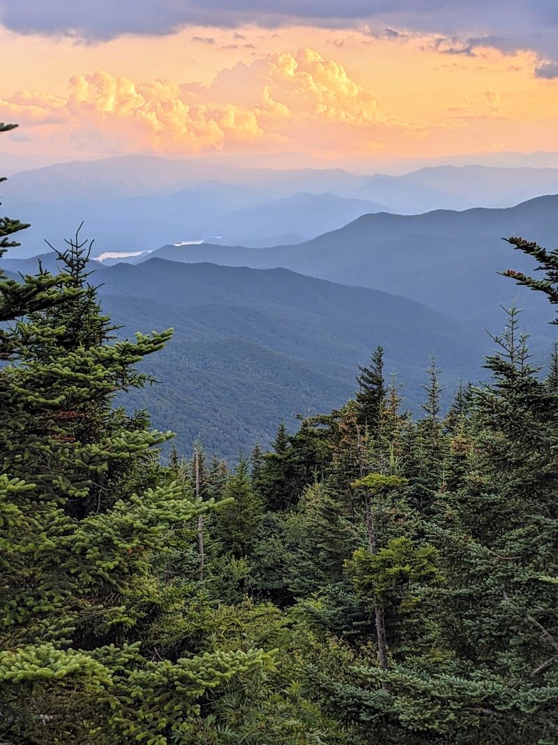 Experience How Quickly The Landscape Changes With Elevation