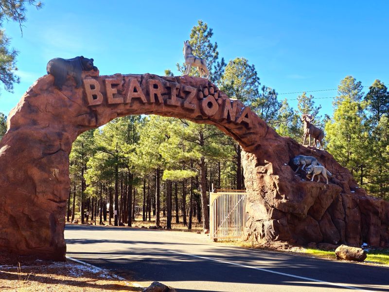 A Wildlife Park Born From A Bold Vision