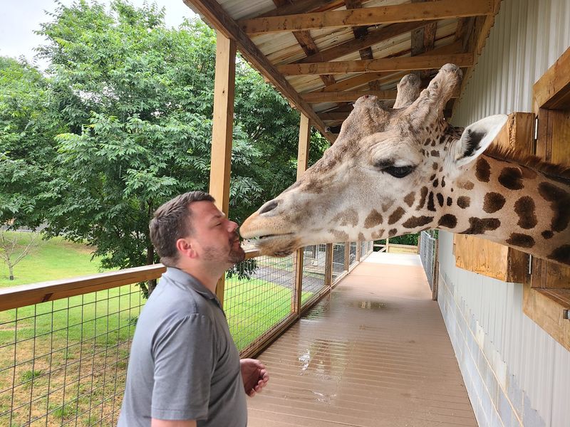 You Can Get Surprisingly Close To Giraffes Zebras And Other Exotic Animals