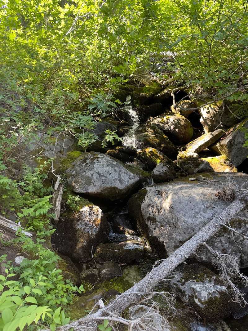 Brokeback Mountain Fans May Do A Double Take On This Remote Idaho Hike - Decor Hint Keep Going Toward Big Fisher Lake For An Even Deeper Backcountry Escape