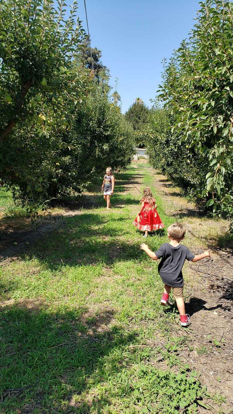 Double M Farms, Walnut Grove