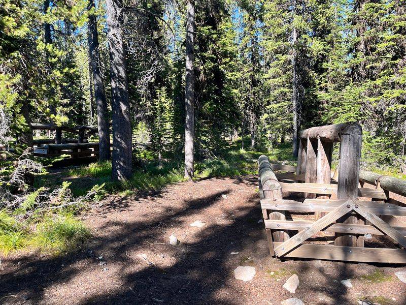 Ten Mile Creek Trail, Near Lowman