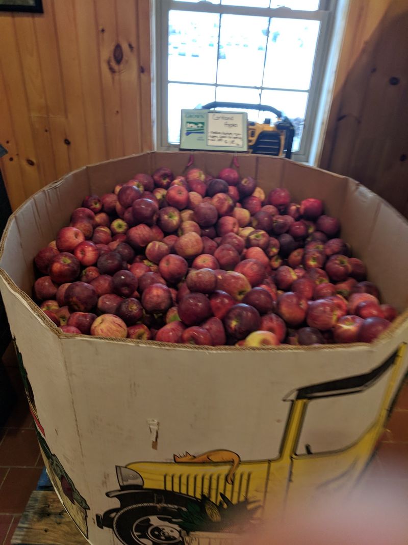 No Ladders Are Needed To Fill A Picking Bag