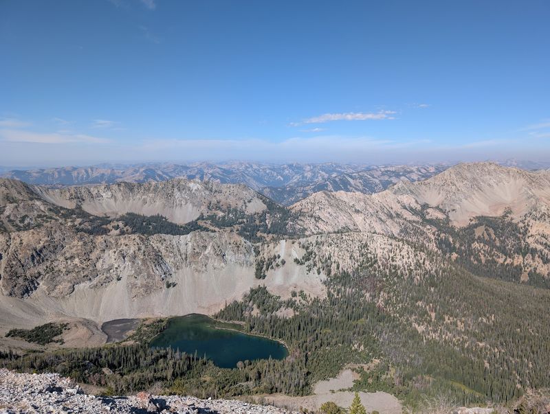 Watch The Scenery Shift From Forest To Open Alpine Country