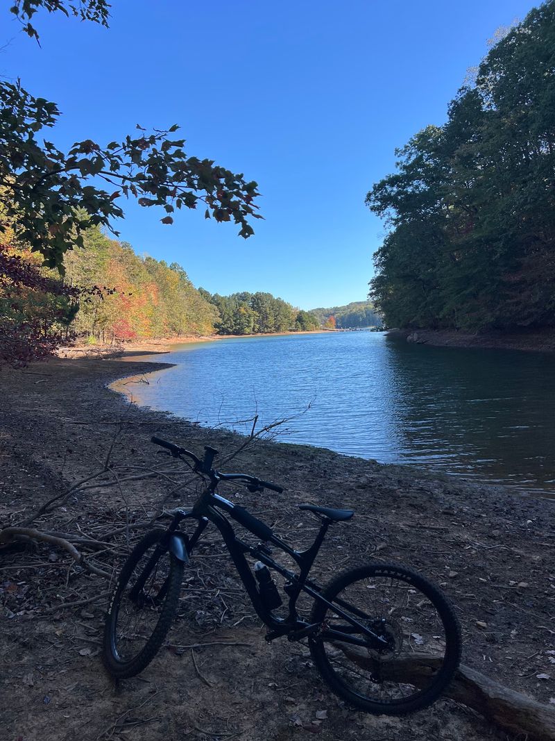 Charleston Park, Cumming