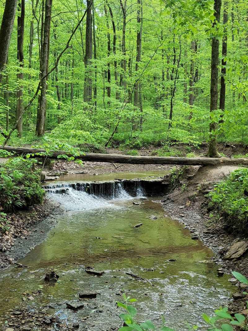 The Creek That Runs Through The Heart Of The Canyon