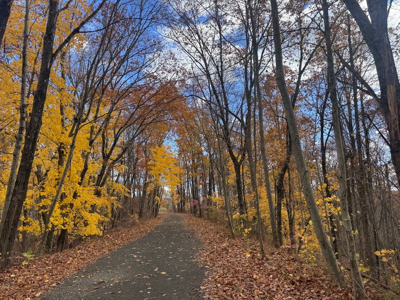 Miles Of Riding Away From Busy Roads