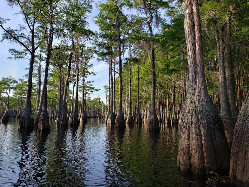 George L. Smith State Park, Twin City