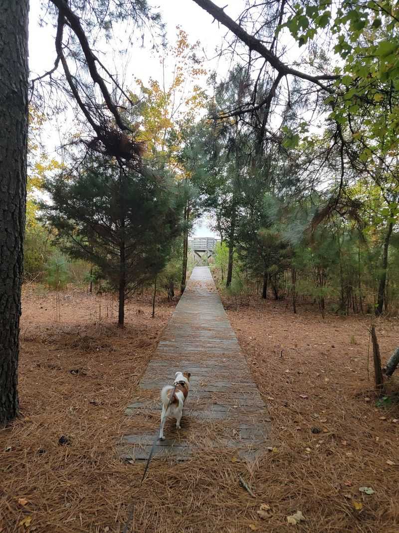 Forget The Beach For A Day And Explore These 8 Delaware Trails Instead - Decor Hint James Farm Ecological Preserve, Ocean View