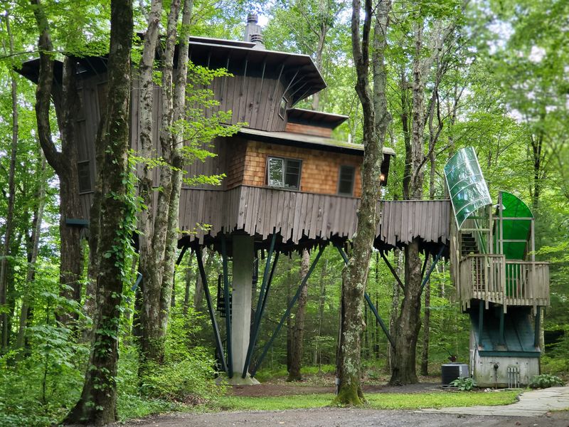 Fifteen Architects Gave The Retreat Its Wild Imagination