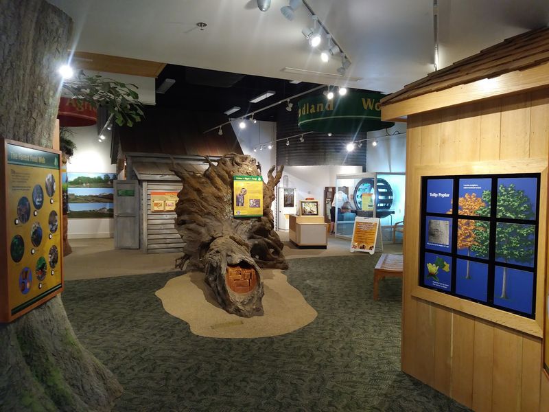 Sandy Creek Nature Center, Athens