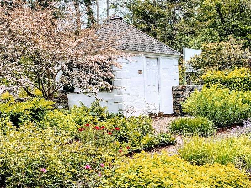 This Connecticut Nonprofit Helps Injured Birds Recover And Lets You Visit For Free - Decor Hint An Old Ice House Turned Working Sugarhouse
