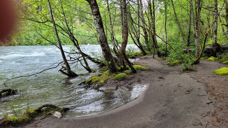 The Sauk River's Steady Song