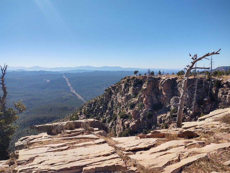 Happy Jack, Kaibab Limestone, Coconino County, Along The Mogollon Rim