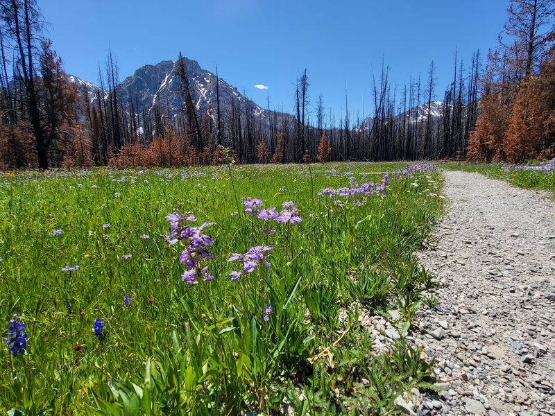 Pack For Nearly Eight Miles Even Though The Elevation Gain Stays Moderate