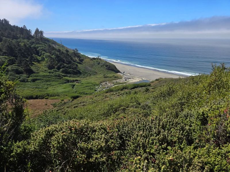 Follow The Lost Coast Scenic Drive Beyond Town