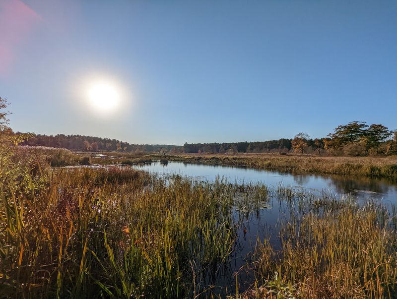 White Memorial Conservation Center, Litchfield