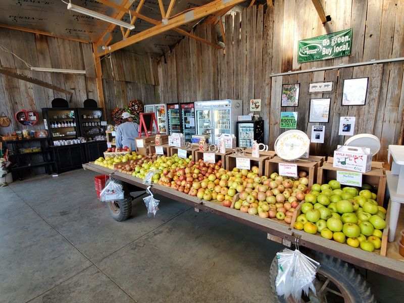 Mulberry Orchard