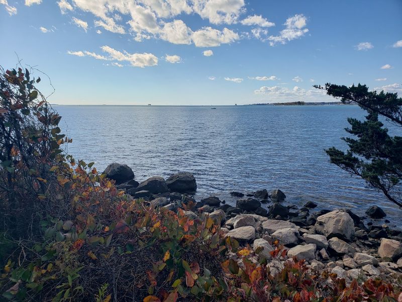 A Wild Peninsula Left Almost Untouched
