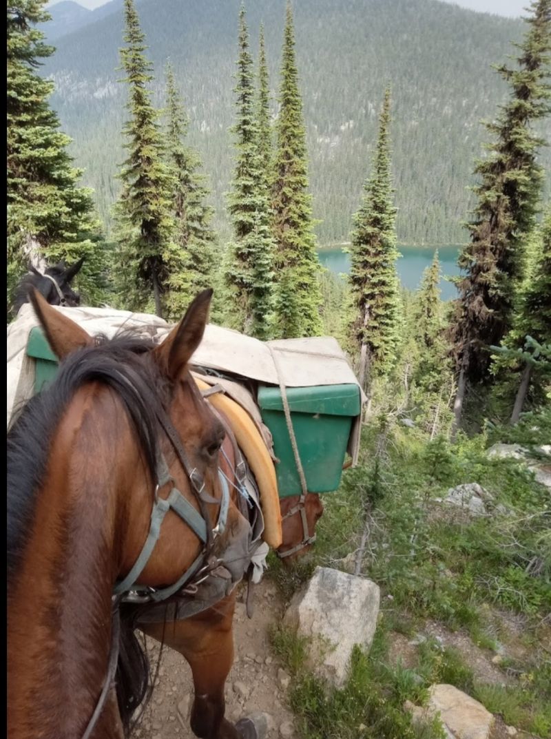 Brokeback Mountain Fans May Do A Double Take On This Remote Idaho Hike - Decor Hint Pack For Rough Roads Before You Even Reach The Trail