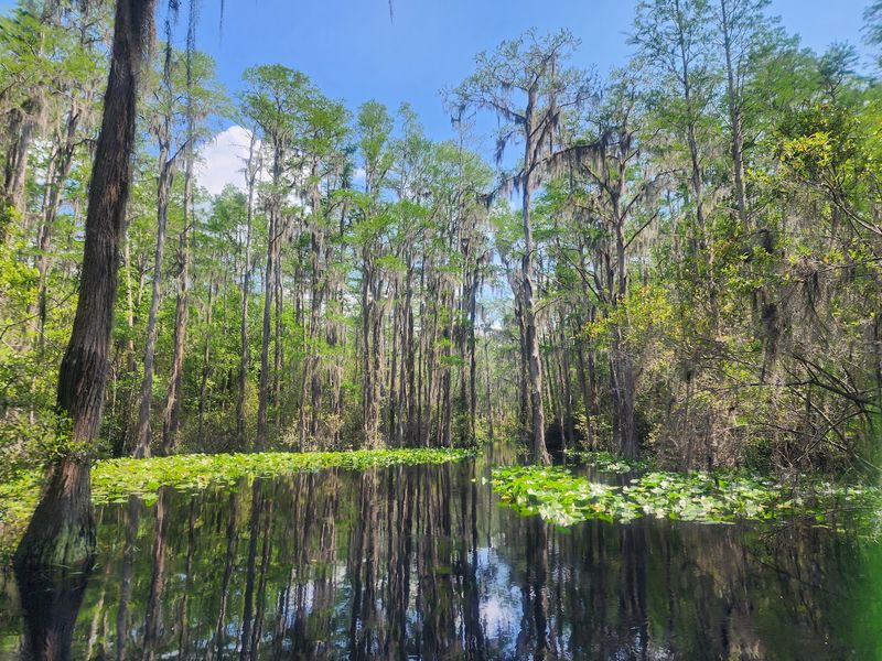 Okefenokee National Wildlife Refuge, Folkston