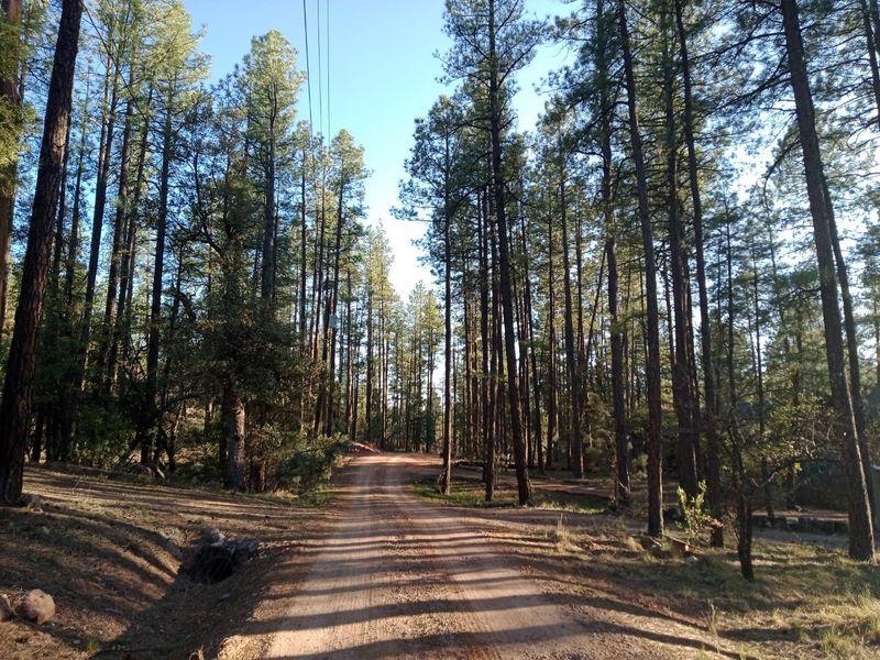 Payson