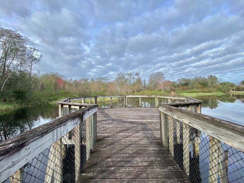 Big Cypress National Preserve, Ochopee