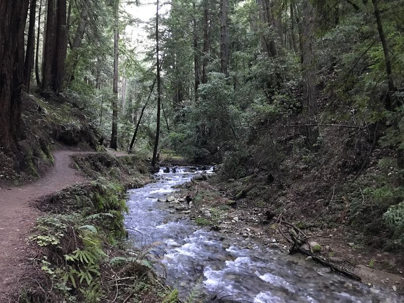Long Stretches Of Trail Run Right Beside The Water
