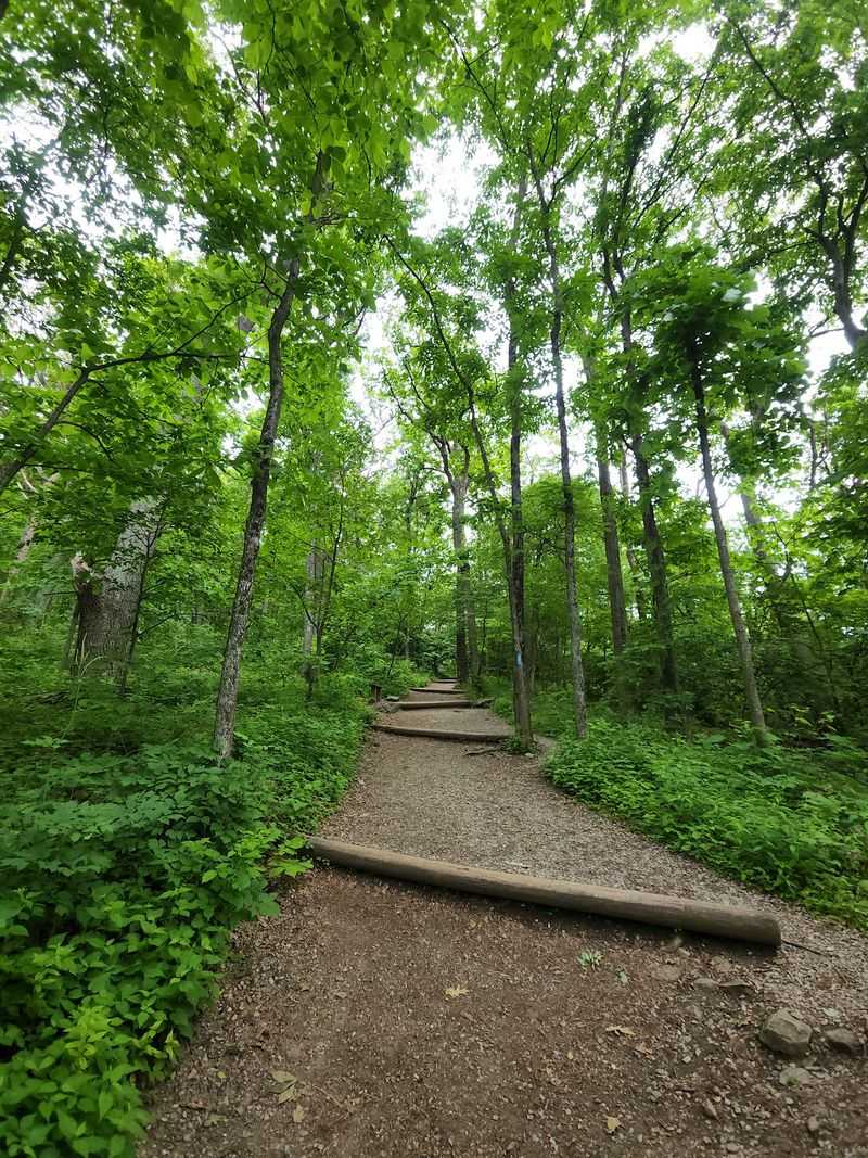 Humpback Rocks Trailhead, Blue Ridge Parkway, Afton