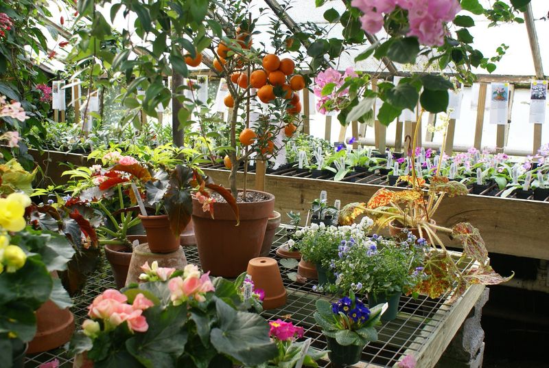 This 19,000-Square-Foot Connecticut Greenhouse Feels Straight Out Of A Fairy Tale - Decor Hint The Original Fern House Still Standing Today