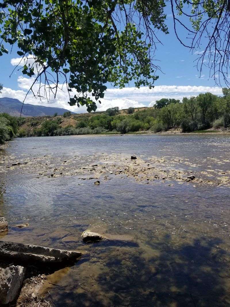 The Colorado River Runs Right Through Town