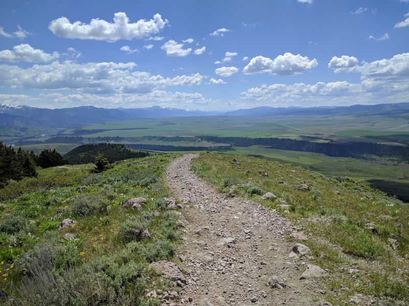 10 Idaho Hikes Where You'll Probably See More Wildlife Than People - Decor Hint Pioneer Mountains Ridge Trail, Mackay