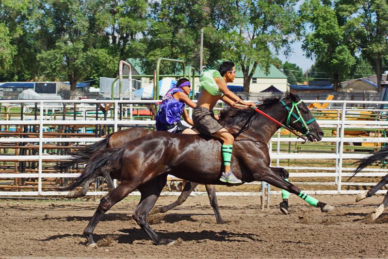 Learn Why Shoshone-Bannock Horse Culture Runs So Deep Here