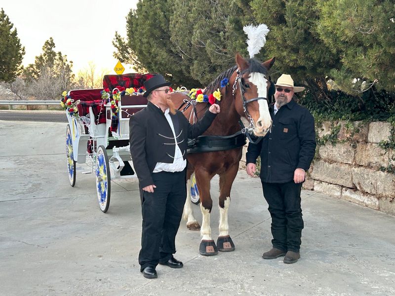 Booking Ahead Matters Because One Horse Can Only Cover So Many Rides
