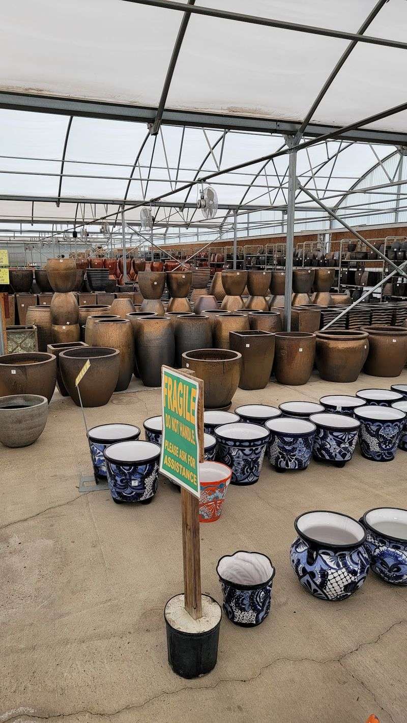 Pottery, Palms, And Rarities