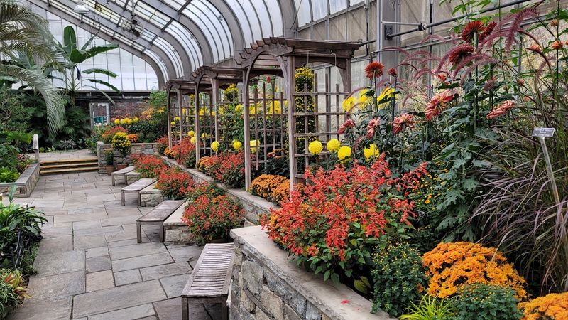 The Conservatory Keeps Summer On Standby