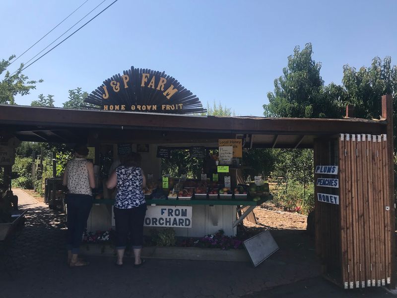 J&P Cosentino Family Farm, San Jose