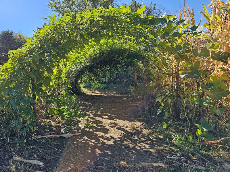 Walk The Half-Mile Discovery Trail