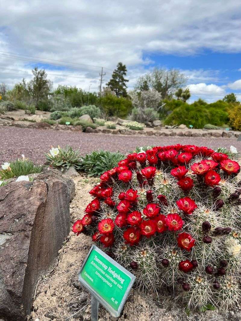 See How Color And Texture Transform The Landscape