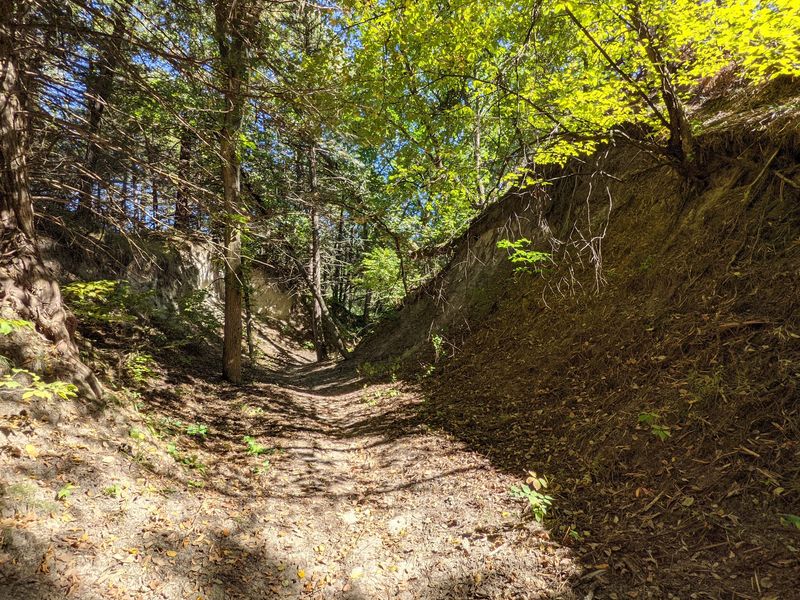 Follow Hiking Trails Through The Wooded Canyon