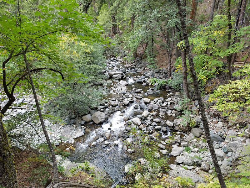 Hike The Wild Plum Loop