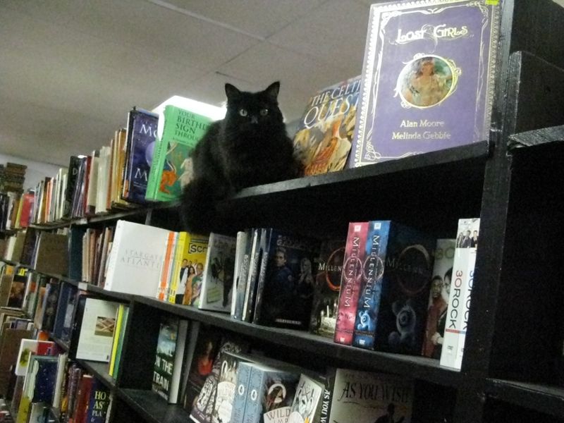 Browse Everything From Mysteries To Gardening Books