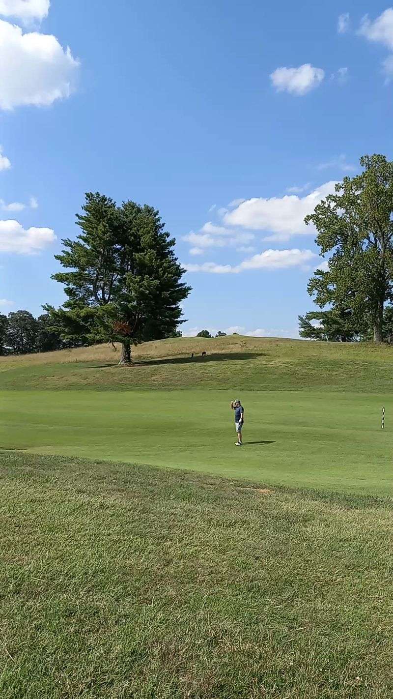 Golf In The Middle Of A Lake