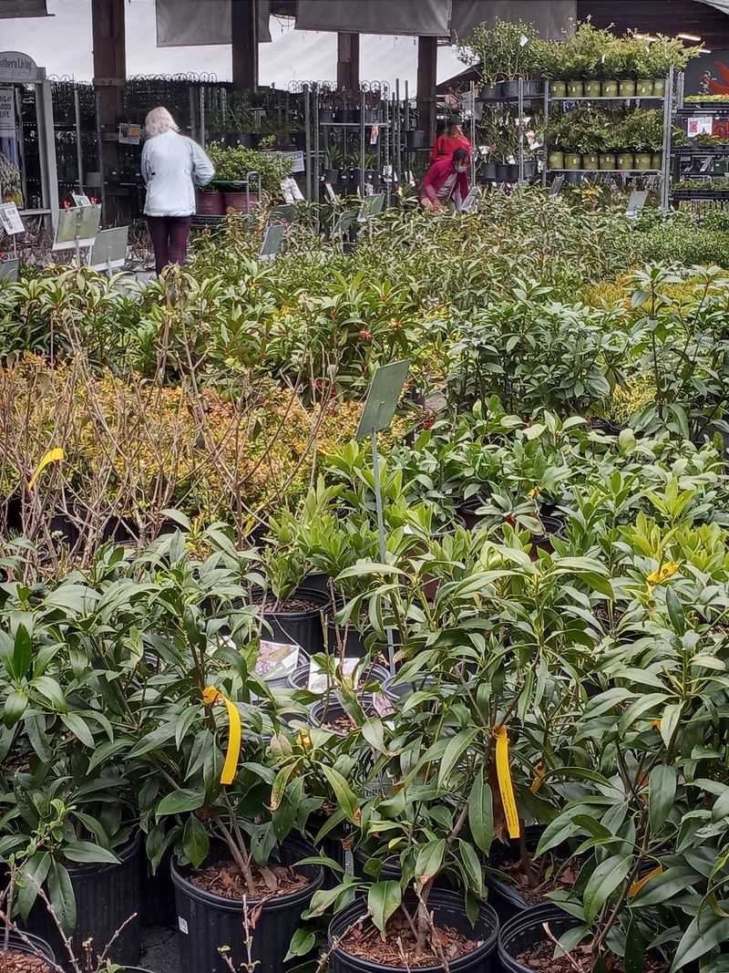 A Plant Selection That Takes An Hour To Walk
