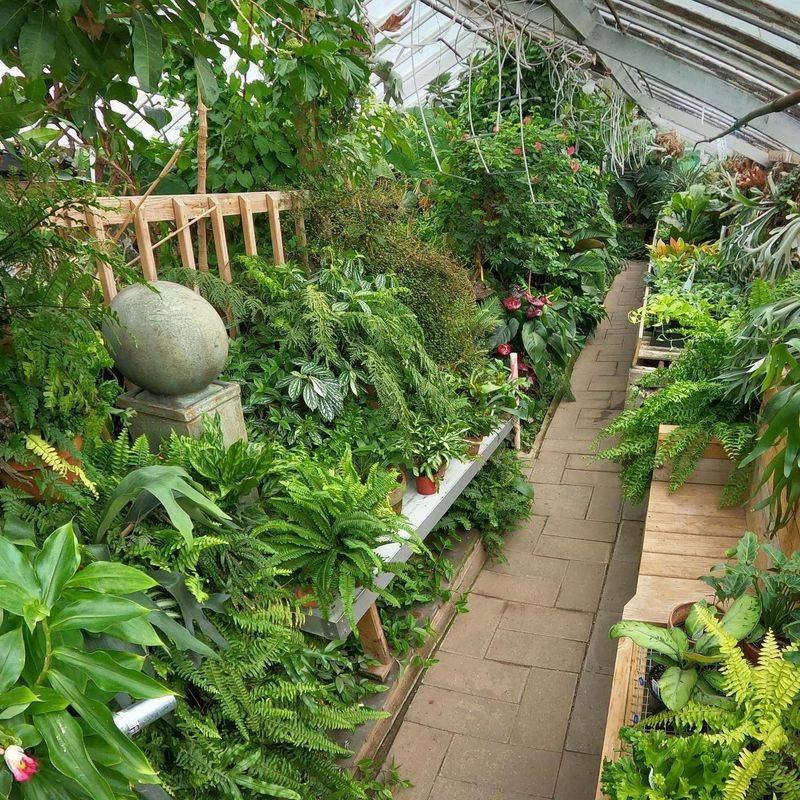 This 19,000-Square-Foot Connecticut Greenhouse Feels Straight Out Of A Fairy Tale - Decor Hint Rare Begonias, Orchids, And Unusual Fruiting Plants
