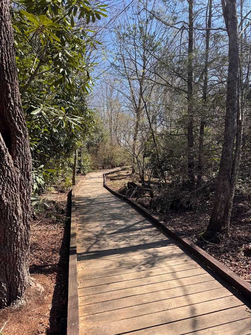 Price Lake Trail, Julian Price Memorial Park