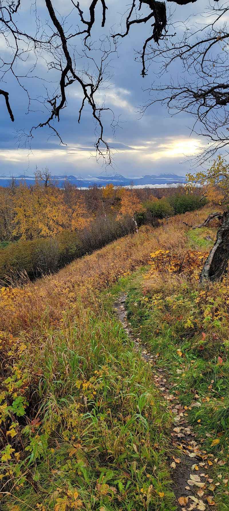 Kincaid Park Trails, Anchorage