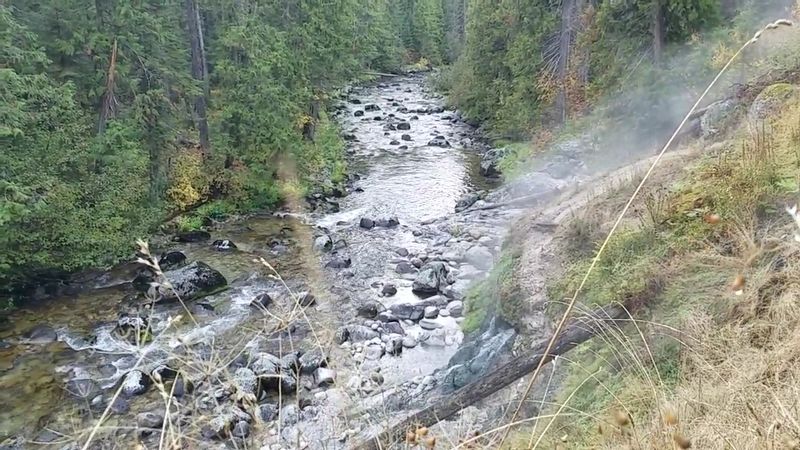 This 2.3-Mile Hike In Idaho Leads You To A Swinging Suspension Bridge Hidden In The Woods - Decor Hint Walk Beside Warm Springs Creek Beneath Towering Trees