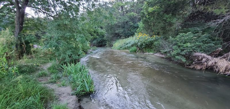 Cast A Line For Trout In The Cold-Water Stream