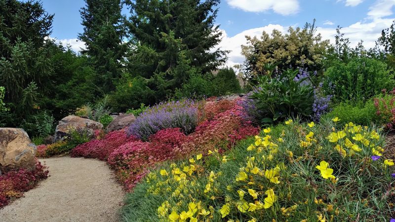This Hidden 5-Acre Idaho Garden Has 5 Different Biomes And Seniors Visit Completely Free - Decor Hint Look For Native Species That Thrive In Idaho's Challenging Mountain Climate